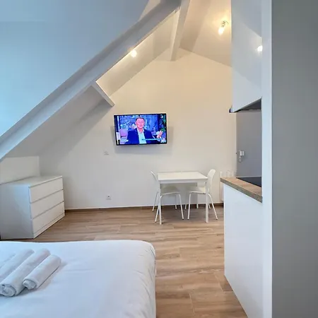 Cocoon In The 16th Eiffel Tower And Roland Garros Apartment